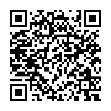 QR code for 333MS