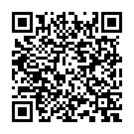 QR code for 333N