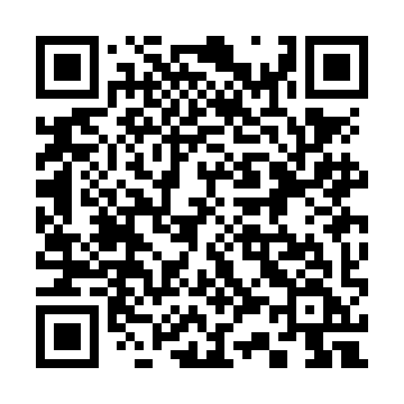 QR code for 333NIF