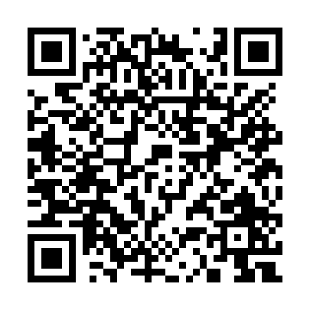 QR code for 333NP