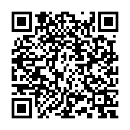 QR code for 333P