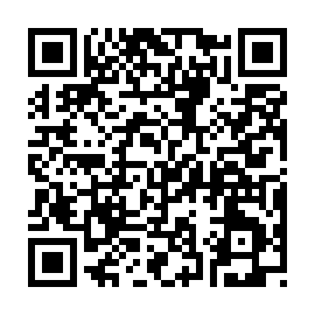QR code for 333UE