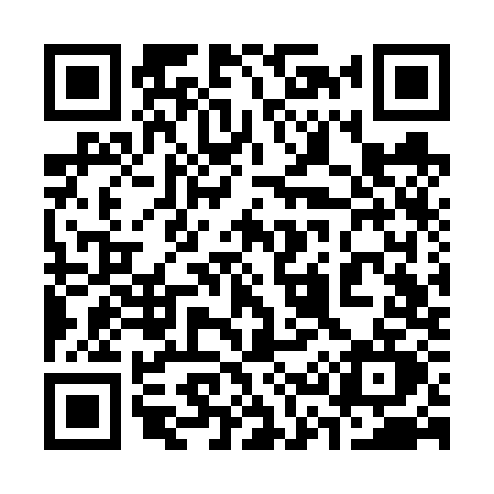 QR code for 333V