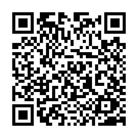 QR code for 333W