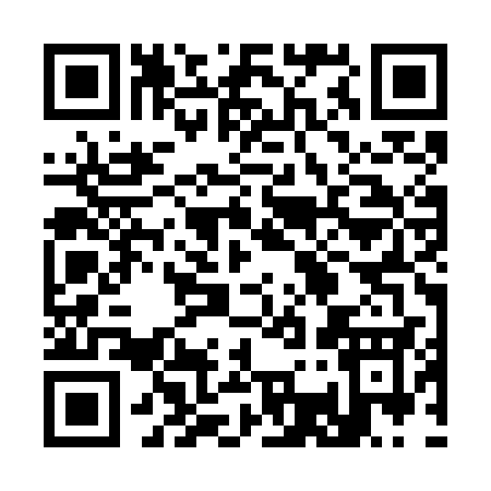 QR code for 333WC