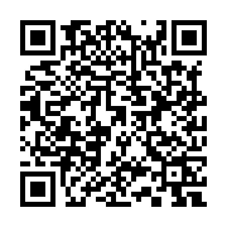 QR code for 333X