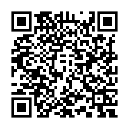QR code for 333Y