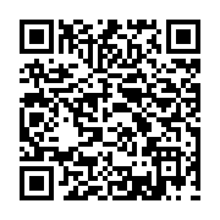 QR code for 333ZV