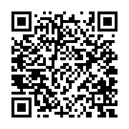 QR code for 334PX