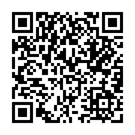 QR code for 335CO