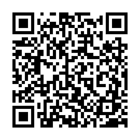 QR code for 335CVS