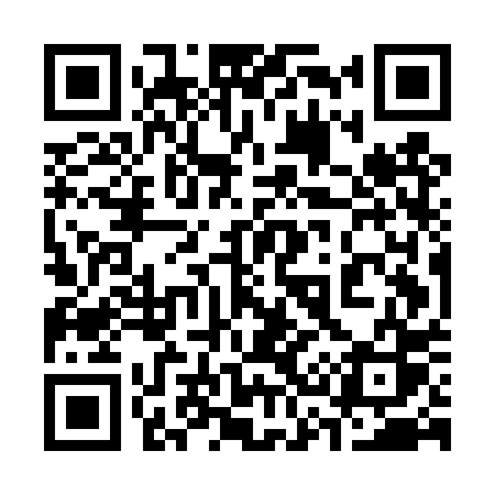 QR code for 335DPS