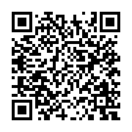 QR code for 335DQ