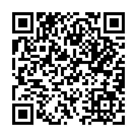 QR code for 335FL