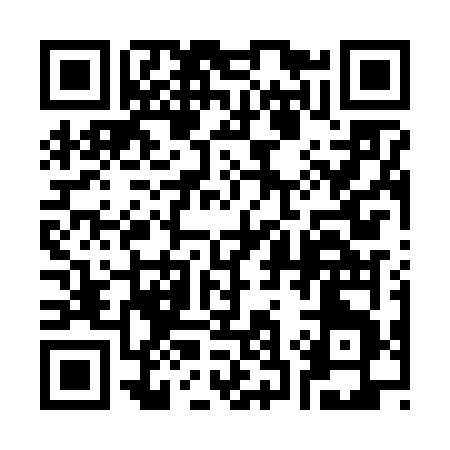 QR code for 335FV