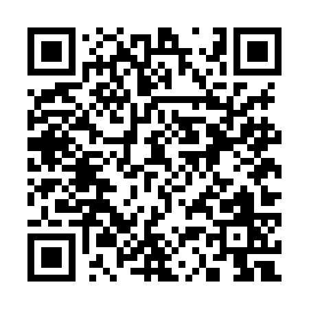 QR code for 335HK