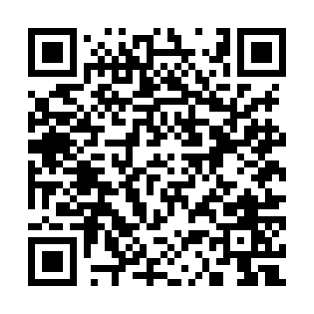 QR code for 335HO