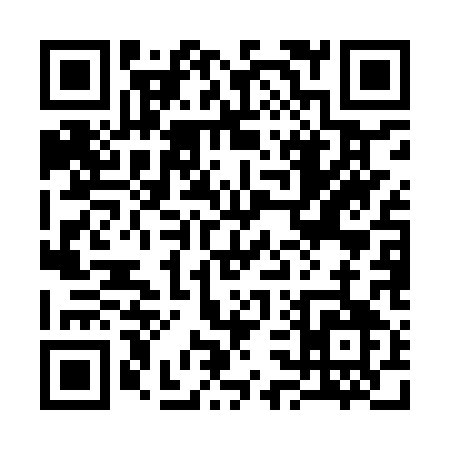 QR code for 335IQ