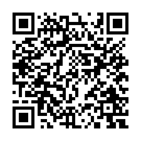 QR code for 335JR