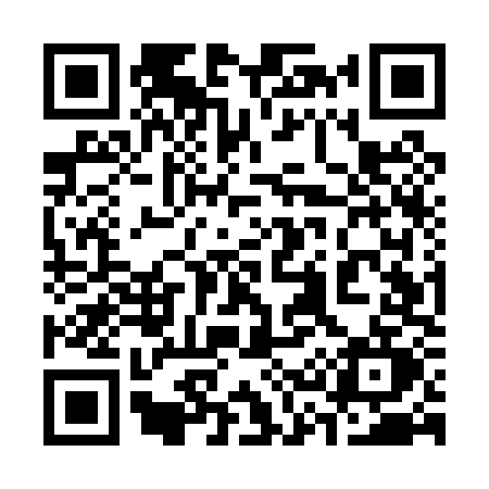 QR code for 335P