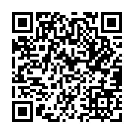 QR code for 335WF