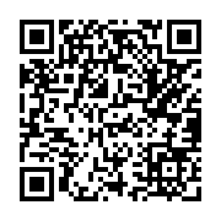 QR code for 335XV