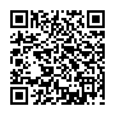 QR code for 335YD