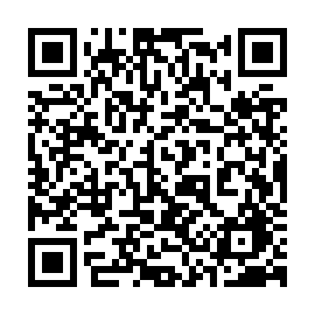QR code for 335ZZG