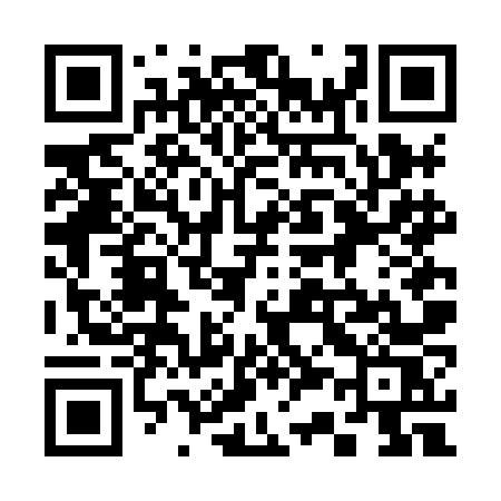 QR code for 336HNS
