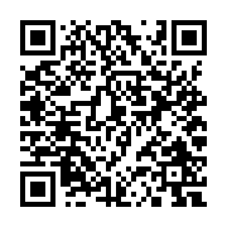 QR code for 336IR