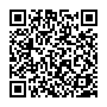QR code for 336MSA