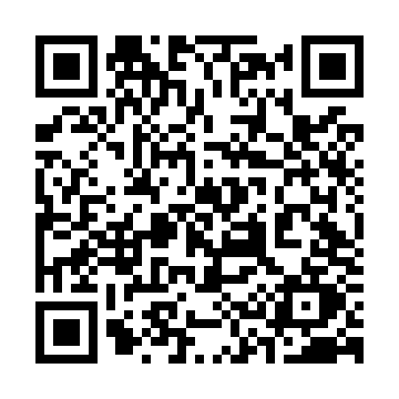 QR code for 336O