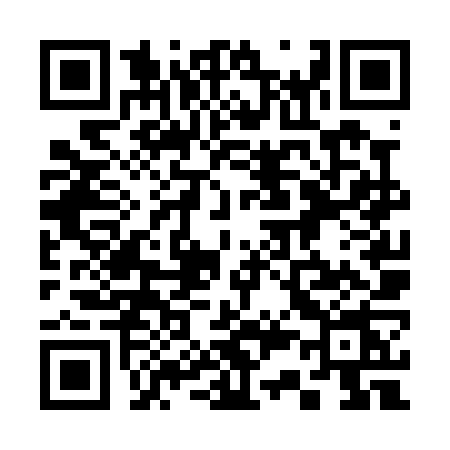 QR code for 336P