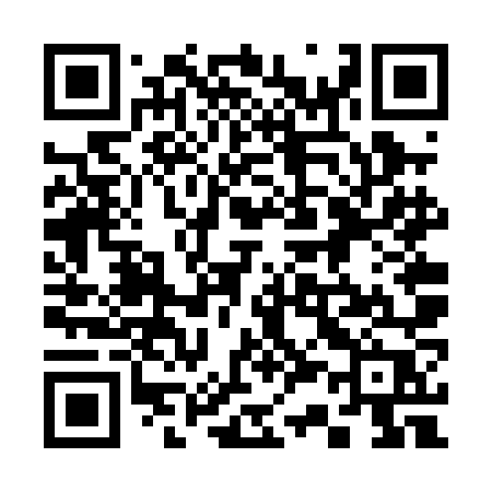 QR code for 336PNP