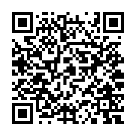 QR code for 336PW