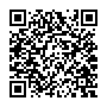QR code for 336TV