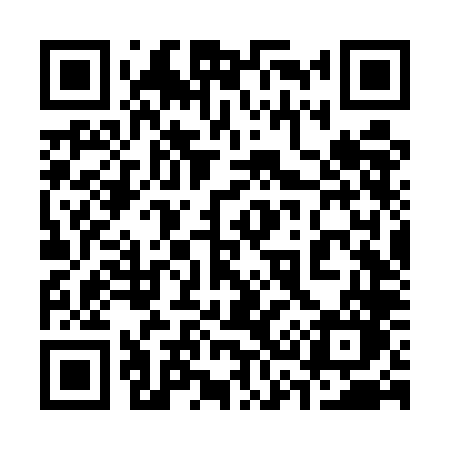 QR code for 336ULO