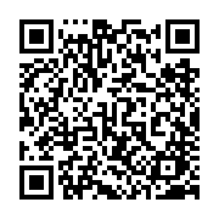 QR code for 336WNO