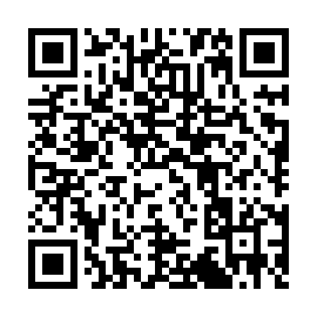 QR code for 338HX