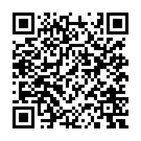 QR code for 338LO