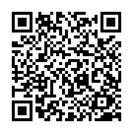 QR code for 338M