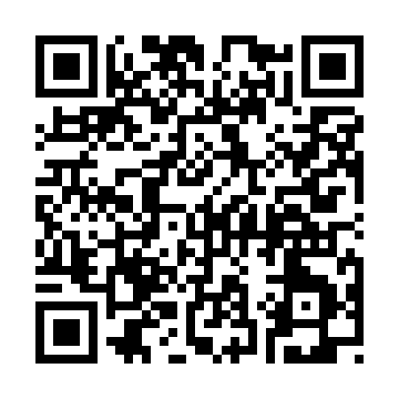 QR code for 338QI