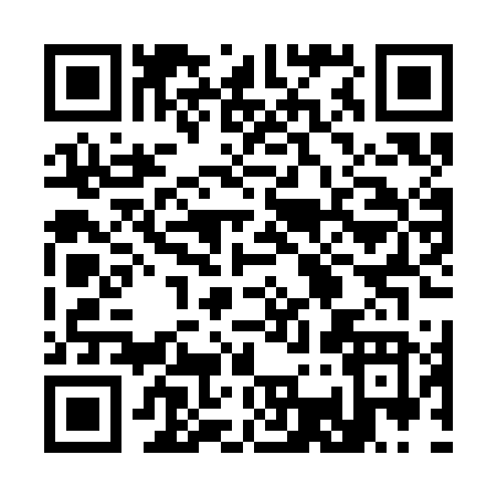 QR code for 338SF