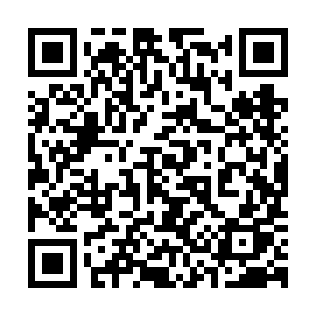 QR code for 338VIP