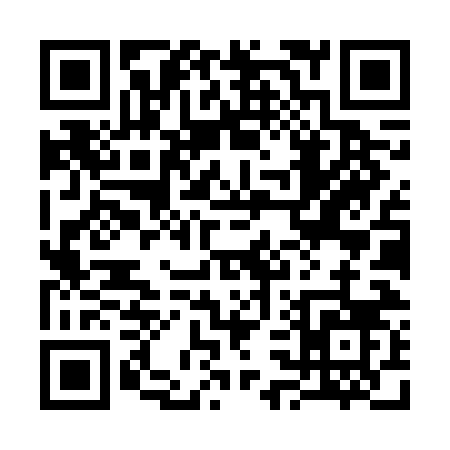 QR code for 338VN