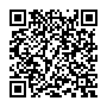 QR code for 338X