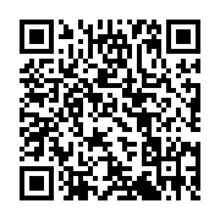 QR code for 339AI