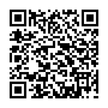 QR code for 339NG