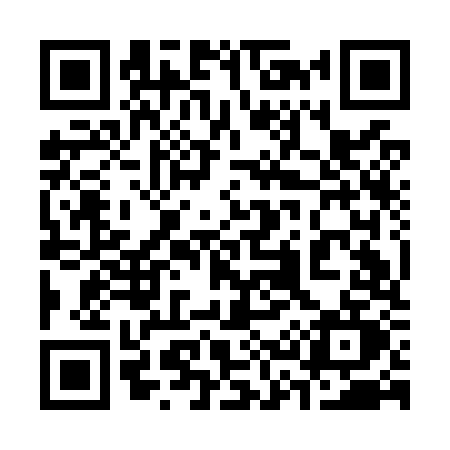 QR code for 339O