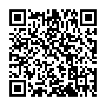 QR code for 339QX